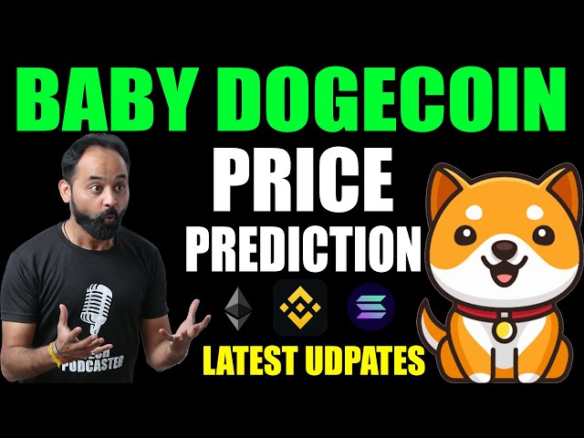 Baby Doge Coin Price Prediction 2024 Will SHOCK You | Rajeev Anand | Crypto Marg | Meme Coins