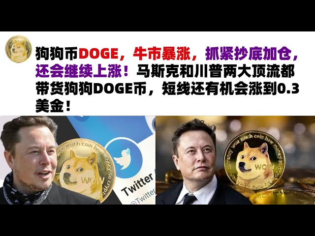 Dogecoin DOGE, the bull market is soaring, hurry up to buy the bottom and add positions, it will continue to rise! The two top celebrities, Musk and Trump, both carry DOGE coins, and there is a chance that the price will rise to 0.3 US dollars in the shor