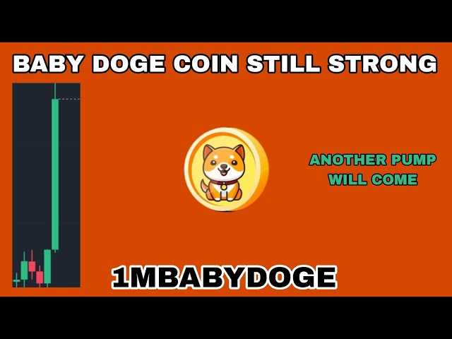 1MBABYDOGE COIN STILL STRONG UPDATE IN 2024‼️ BABY DOGE ANOTHER PUMP WILL COME❗ BABYDOGE NEXT LEVELS