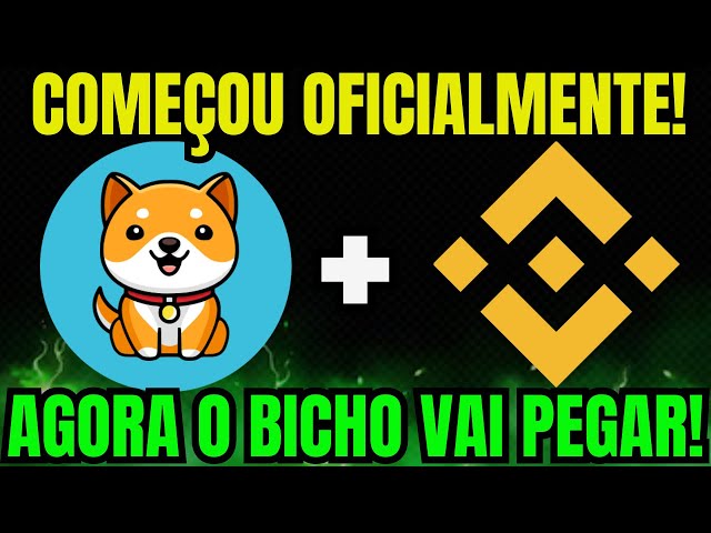 BABY DOGE COIN THE PLAY ON BINANCE HAS OFFICIALLY STARTED!