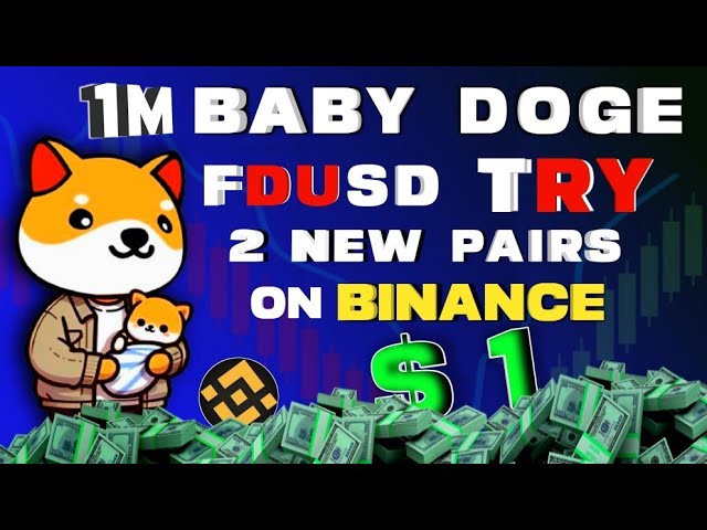 $2700% Up | 2NEW PAIRS | Baby dogecoin news today hindi | Price prediction | #babydogecoin |