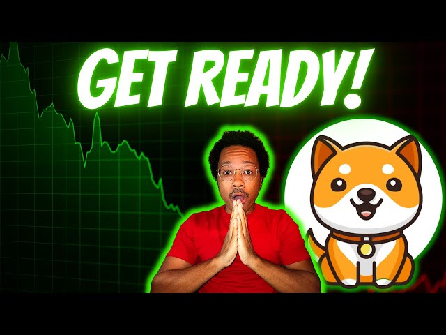 BABY DOGE Price Is About To Make a HUGE Leap SOON