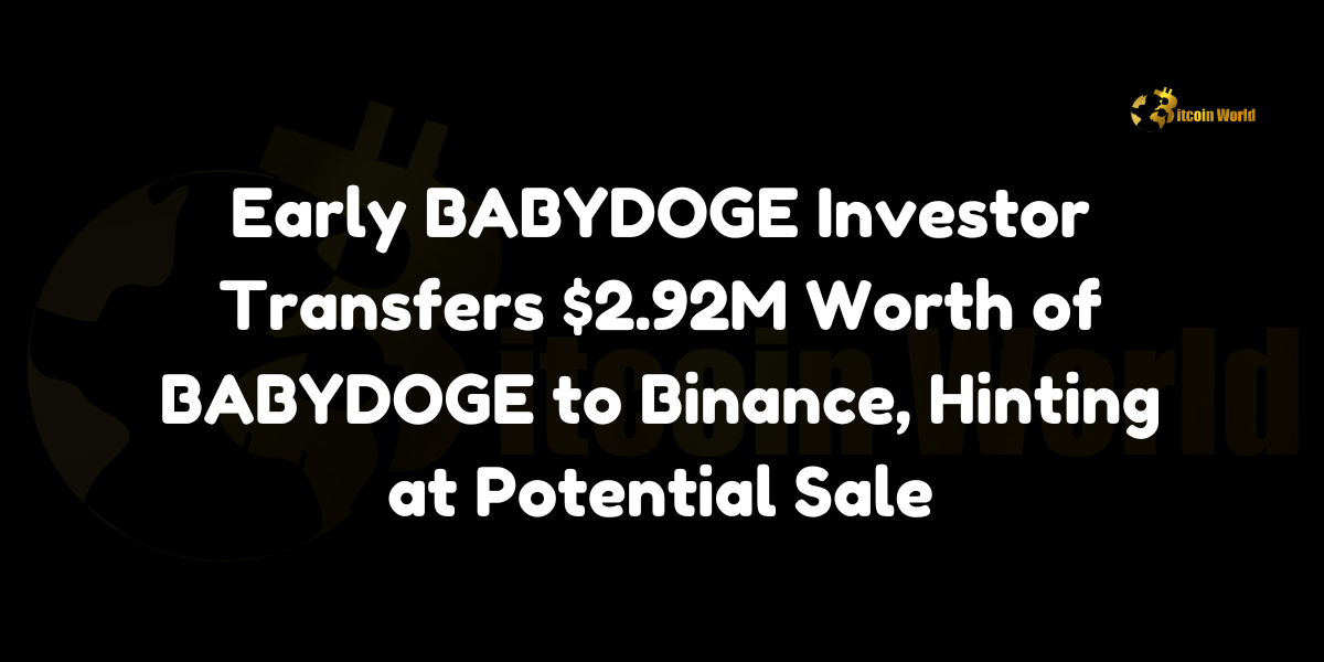 BABYDOGE 早期投資者將價值 292 萬美元的 BABYDOGE 轉移至幣安，暗示可能出售