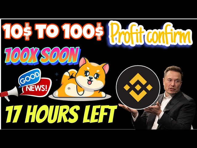 17 hours left ⬅️ BABY DOGE LIST ON BINANNC 🚀100X SOON 2024 BIG MEME