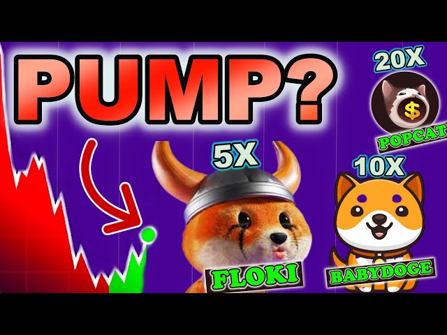 Popcat,Babydoge,Flokiinu Moon | Popcat tuch $1 | Baby doge coindcx,Binance list | #flokicoin