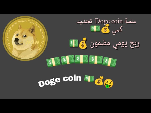 Doge coin platform, quantitative determination, guaranteed profit, daily profit, a profitable investment platform for investors 💵💵🤑