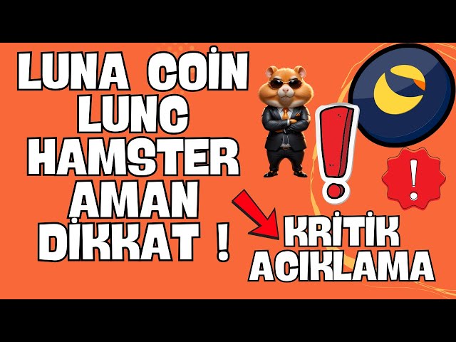 LUNA COİN LUNC SON DAKİKA --- HAMSTER KOMBAT KRİTİK ACIKLAMA-- #bicity #lunc #lunch #hamsterkombat