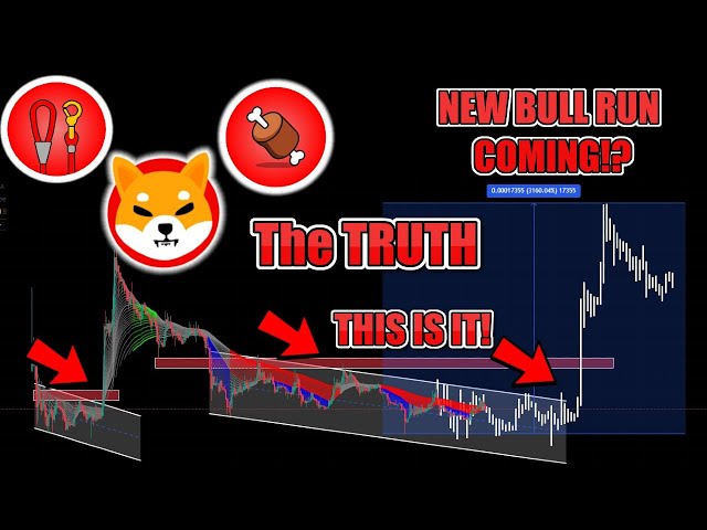 SHIBA INU 40X BULLRUN COMING in 2024!? The TRUTH about SHIB, BONE, and LEASH MASSIVE BULLRUN COMING!