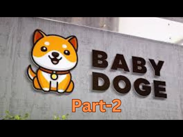 BabyDoge Coin Secrets Revealed. Part - 2. $BABYDOGE