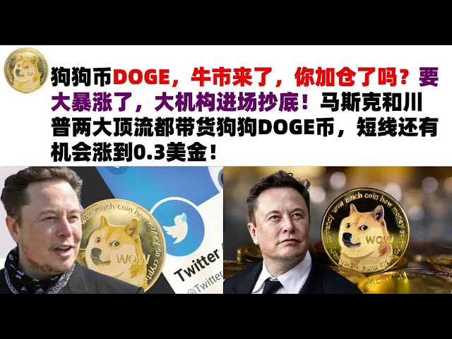 Dogecoin DOGE, the bull market is coming, have you increased your position? A big surge is coming, and big institutions are entering the market to buy the dip! Both Musk and Trump are carrying DOGE coins, and there is a chance that the price will rise to 