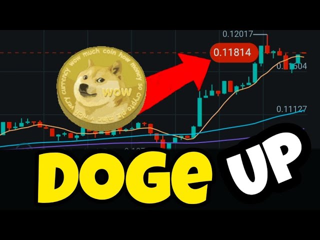 Doge Coin Returns $0.11 HOLDER? Heading $1 #doge