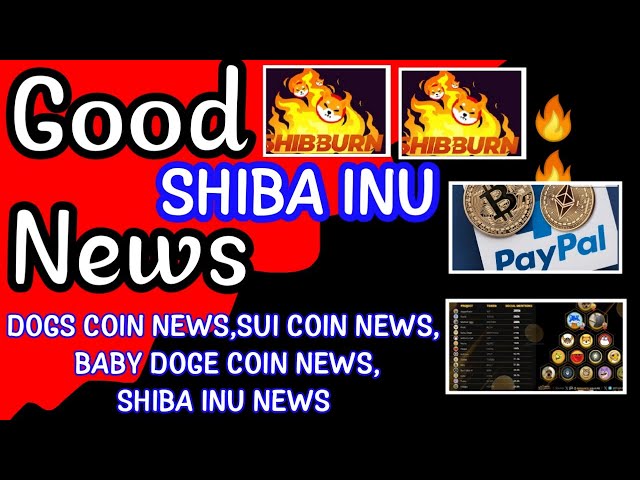 SHIBA INU COIN NEW TODAY|BABY DOGE COIN NEWS TODAY|SUI COIN NEWS|DOGS COIN NEWS|CRYPTO NEWS UNCUT