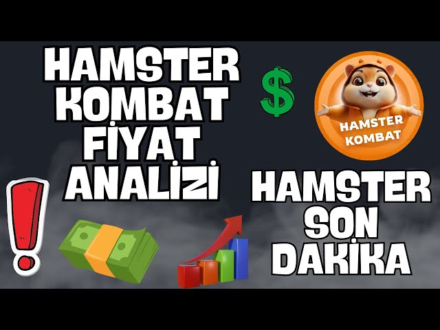 HAMSTER KOMBAT CRASHED --- HAMSTER COIN ANALYSIS BREAKING NEWS HAMSTER #bicity #lunc #lunch #hamsterkombat