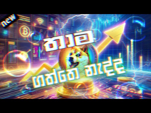 Have you seen the best update of Doge coin? | Doge Coin Update