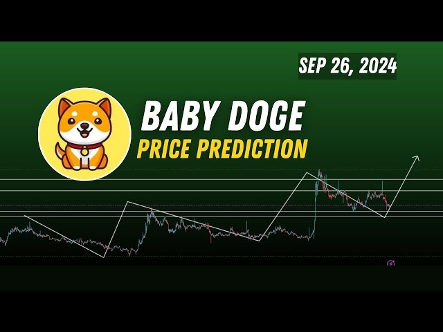 BabyDoge coin ( BabyDoge ) price prediction | 1mbabydoge BabyDoge crypto recover back ? Sep 26, 2024