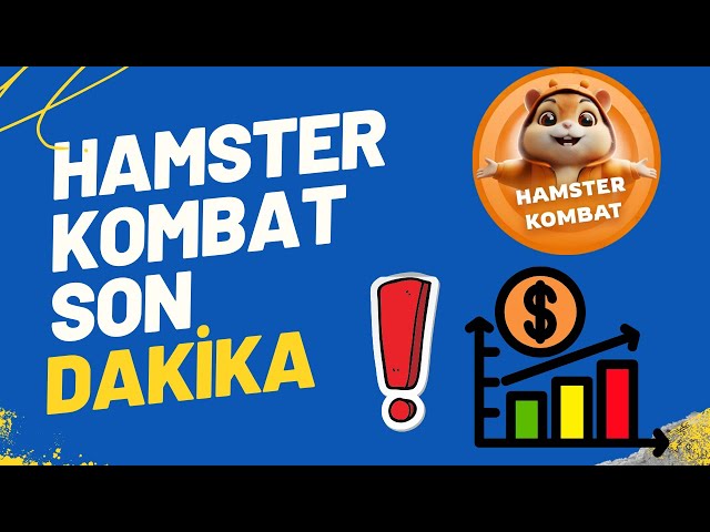 HAMSTER KOMBAT COIN WERE WE SCAMMED? BREAKING NEWS HAMSTER #hamsterkombat #hmstr #hamster