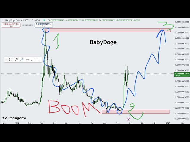 Baby Doge Coin (BabyDoge) Crypto Price Prediction 2024