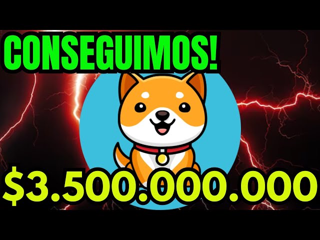 BABY DOGE COIN WE DID IT! $3,500,000,000 WE'RE RIGHT!