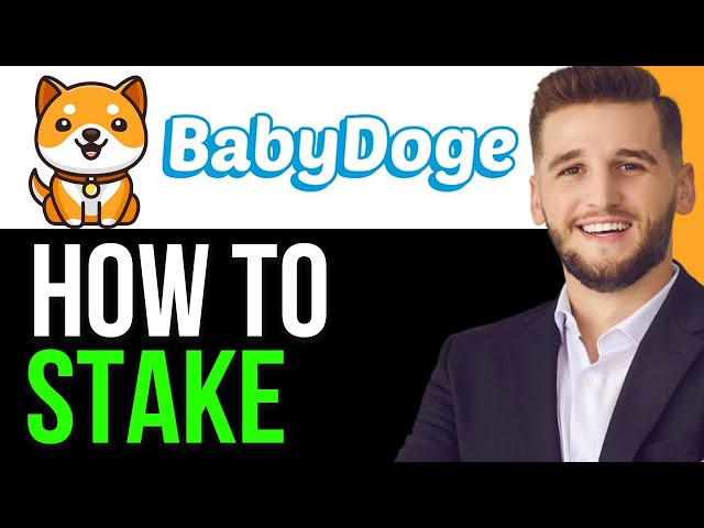 UPDATED:HOW TO STAKE BABY DOGE COIN 2024!(FULL GUIDE)