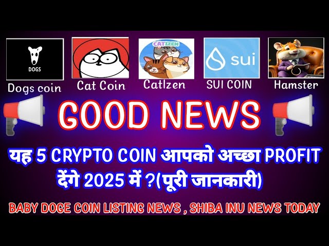 💰 5 COINs that can make you a millionaire💰|BABY DOGE COIN NEWS TODAY|SHIBA INU COIN|Crypto News Uncut