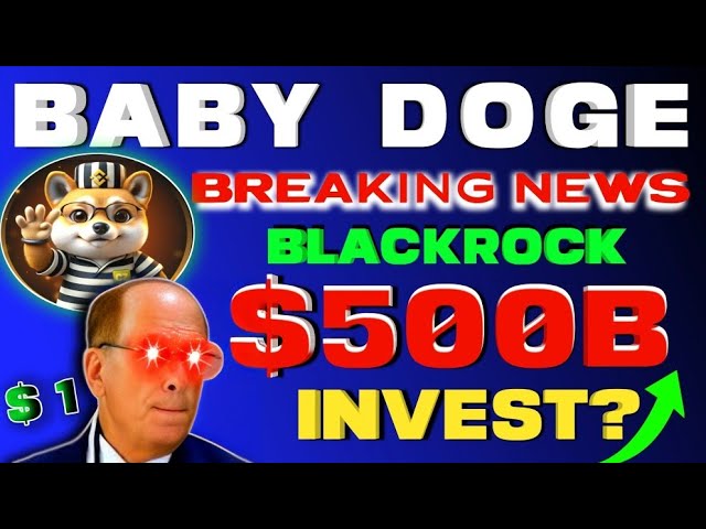 BLACKROCK $500B INVEST? | Baby dogecoin news today hindi | Baby doge price prediction #babydogecoin