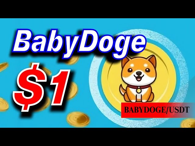 HOW MUCH 1 BABYDOGE COIN BE WORTH IN 2025 - BABYDOGE PRICE PREDICTION & NEWS TODAY