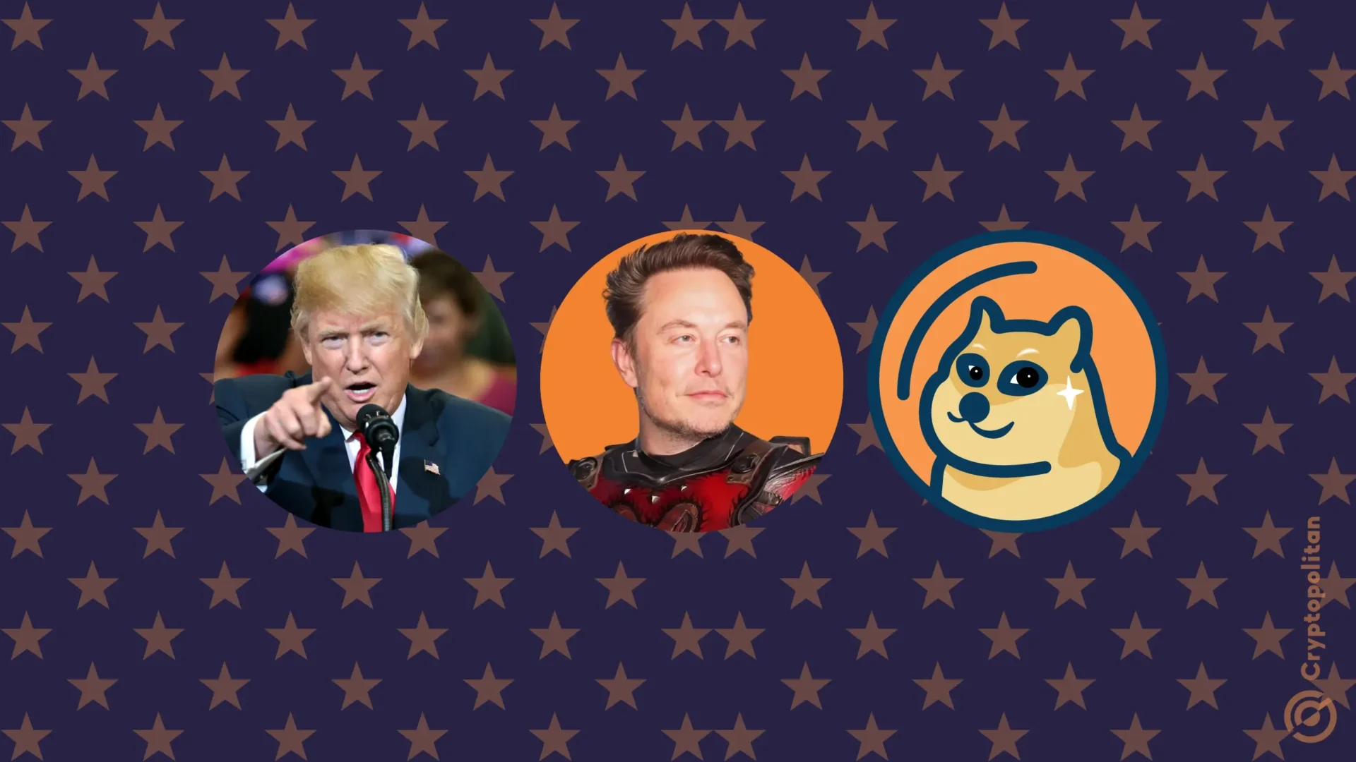 Elon Musk supports Trump and Dogecoin via his Department of Govt Efficiency