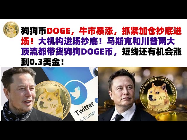 Dogecoin DOGE, the bull market is soaring, hurry up to add positions and enter the market at the bottom! Big institutions enter the market to buy the dip! Both Musk and Trump are carrying DOGE coins, and there is a chance that the price will rise to 0.3 U