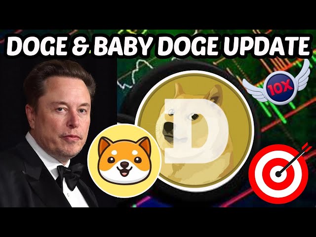 DOGE & BABY DOGE COIN UPDATES 2024 | DOGE & BABY DOGE CRYPTO 10X? MEMES COIN NEWS TODAY |