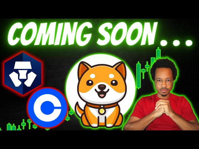 BABY DOGE MASSIVE LISTINGS ON THE WAY! GET READY NOW!