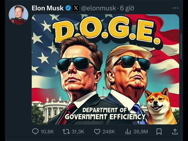 Elon musk shill doge#coin #coins #meme #elonmusk #crypto #cryptonews