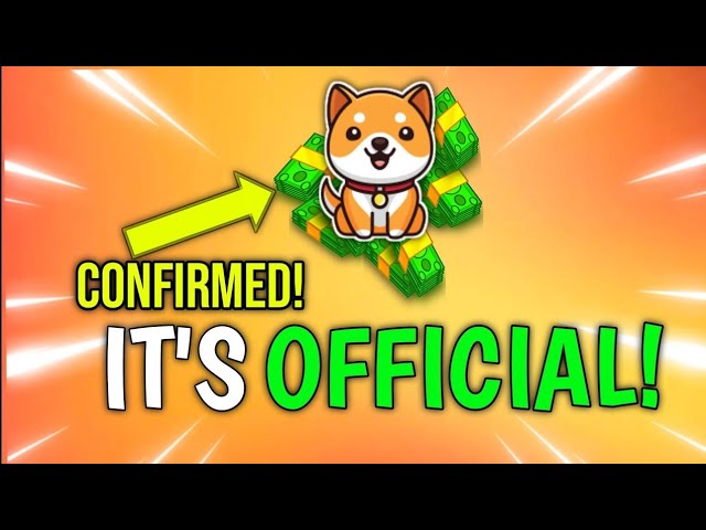 BABY DOGECOIN BIG ANNOUNCEMENT 🥳 BABY DOGE COIN HIT ₹1 2024 🔥 BABY DOGECOIN PRICE PREDICTION