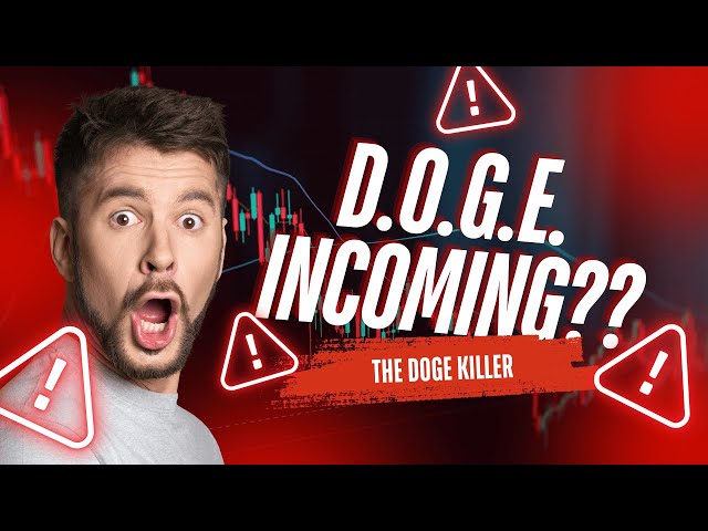 Can D.O.G.E. REALLY Kill the Original Doge Coin?