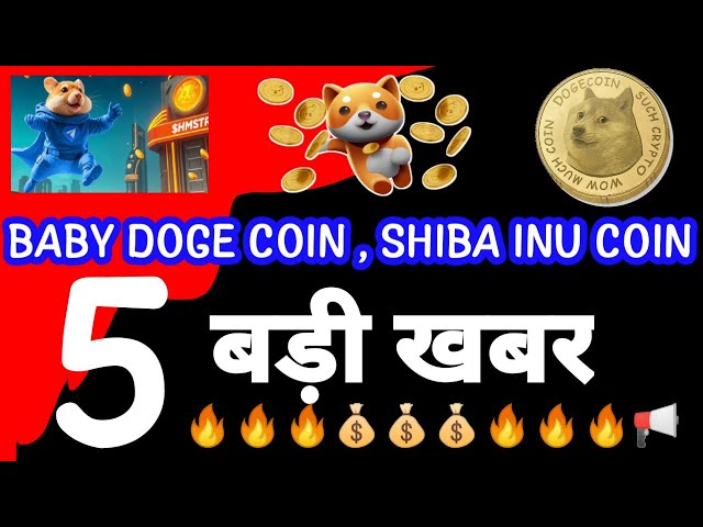 BABY DOGE COIN NEWS|SHIBA INU COIN NEWS|HAMSTER NEWS|CAT COIN NEWS|DOGECOIN NEWS|Crypto News Uncut