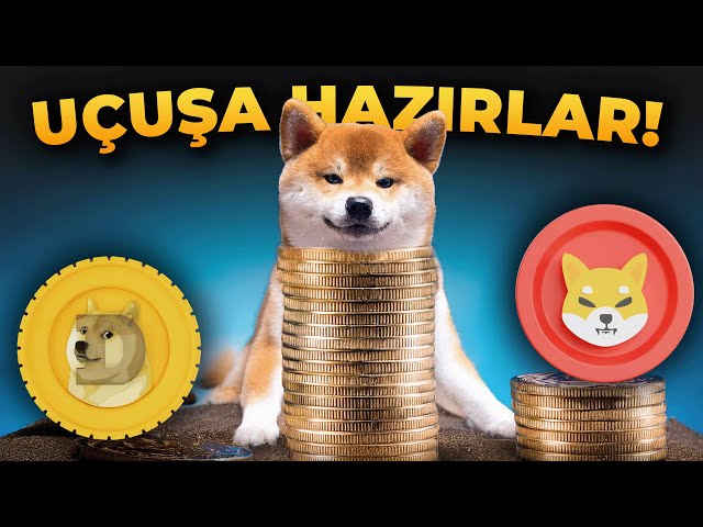 LAST PREPARATIONS for Meme Coins! Pepe, Shiba, Wif, Doge Coin Current Analysis