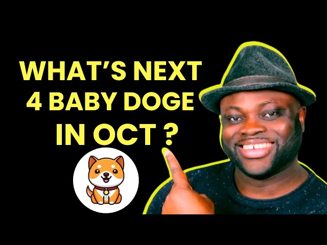 Major Exchanges RUSH to List Baby Dogecoin! What's Next?