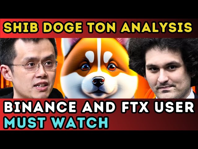 Shiba INu And Doge coin update | Ton and Binance Update