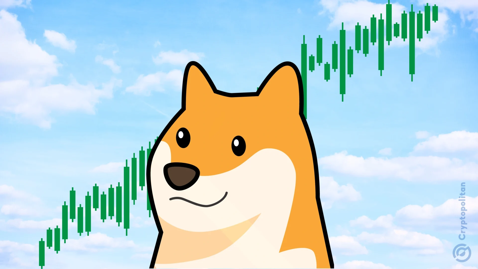 DOGE为何一周上涨14%？