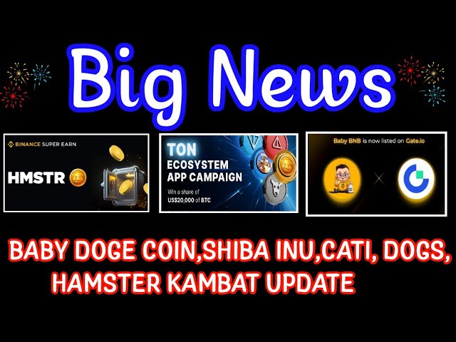 BABY DOGE COIN UPDATE|DOGS COIN NEWS|CATI PRICE PREDICTION|SHIBA INU NEWS TODAY|Crypto News Uncut