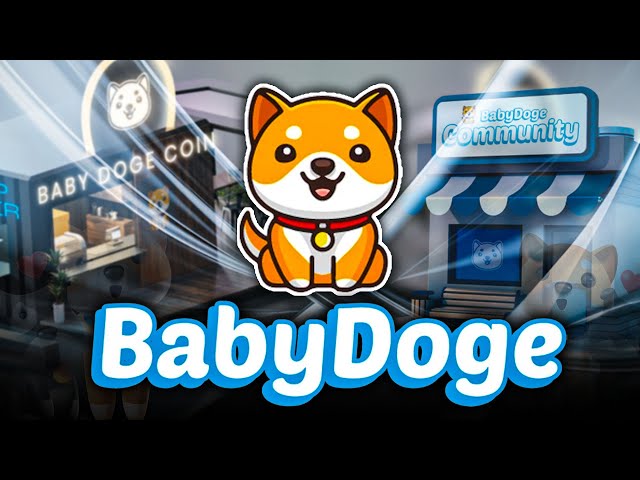 BABY DOGE: Developments Continuing, Minimal Pullback