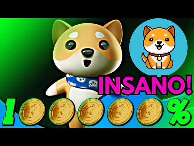 🚨BABY DOGE COIN HOLDERS GET READY FOR INSANE GAINS IN THE COMING WEEKS