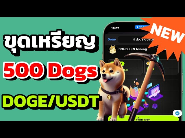 Digging up new Doge coins, don't miss the very upstream point. Try playing for free ✅