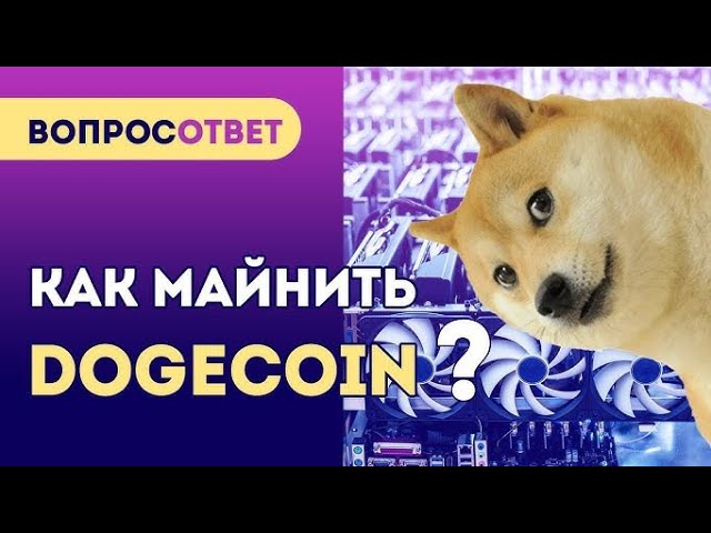 new Mining doge. The best investment site in 2024. +20 doge every day