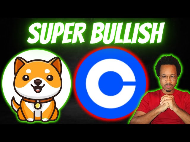 BABY DOGE ARMY: COINBASE LISTING IS THE MAIN THING WE NEED TO PUMP