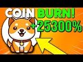 BABY DOGE COIN HUGE COIN BURN COMING ! MASSIVE INCREASE SOON ! BABY DOGE COIN PRICE PREDICTION !