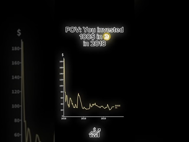 The History of The Price of Doge Coin. Where will it Go Next?