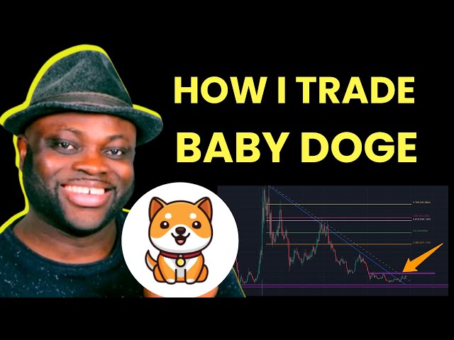 Trading Baby Doge Coin for HUGE GAINS! BabyDoge Coin Strategy