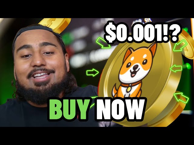 BABYDIGE COIN TO $0.001?! (BUY NOW) BABY DOGE IS TRENDING ON X!!!