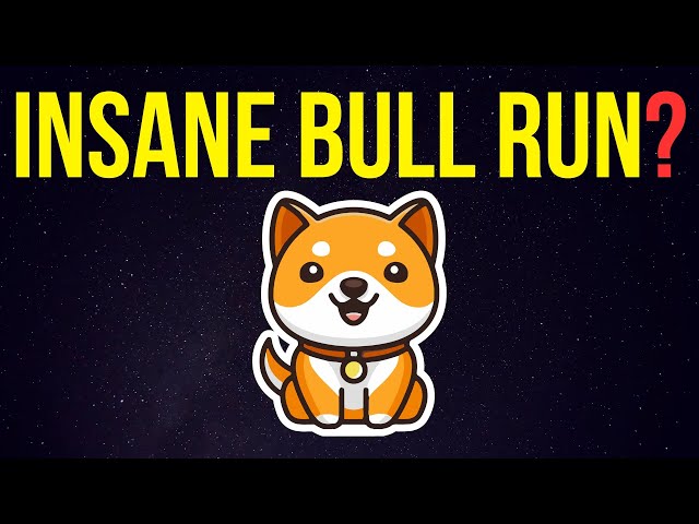 I'm Buying Baby Doge Coin Instead of Shiba Inu...Here's Why! | Baby Doge Coin Price Prediction