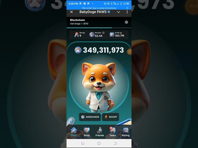 Babydoge paw's withdrawal address connection & you need to know